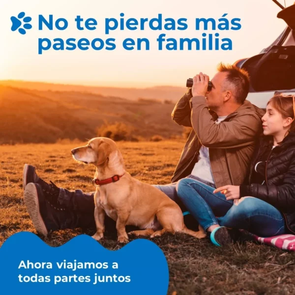 Protector Funda Cubre Asiento Auto Perros Mascotas Petpal
